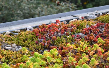 the cost of Draycott In The Clay green roof installation