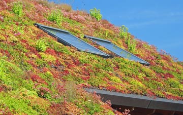 Draycott In The Clay living roof systems
