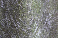 Draycott In The Clay fibreglass roof work